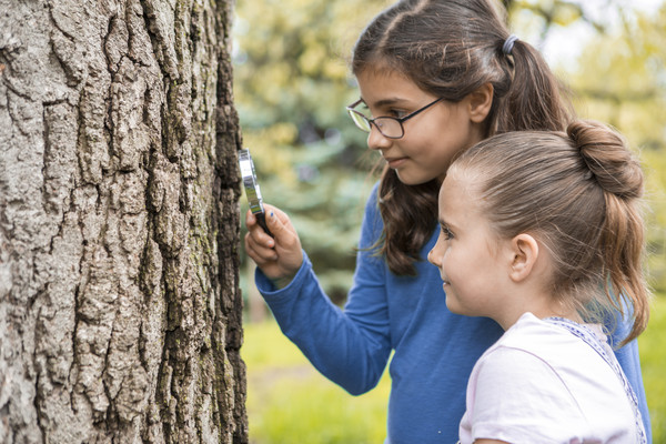 Image of two young children using a handheld magnifying glass to examine a tree's bark.